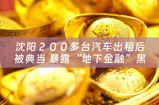 沈阳２００多台汽车出租后被典当 暴露“地下金融”黑链