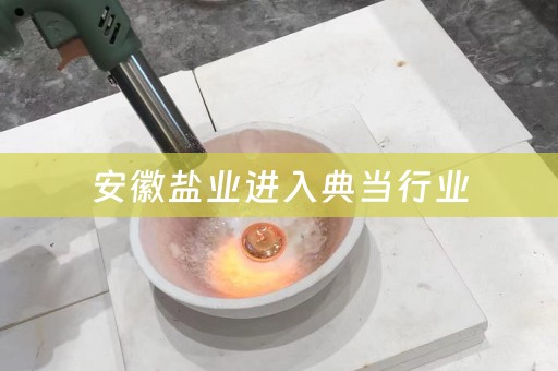 安徽盐业进入典当行业