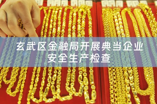 玄武区金融局开展典当企业安全生产检查