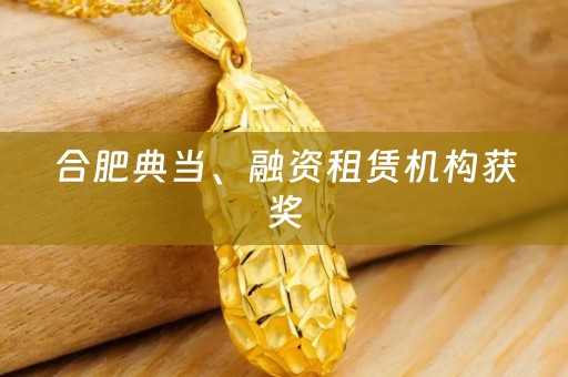 合肥典当、融资租赁机构获奖