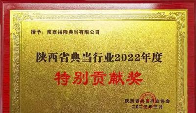 裕隆典当荣获陕西省典当行业协会两大奖项