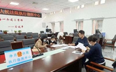 以“效”当先，以“和”为贵 净月法院财产集中处置专项活动取得“开门红”