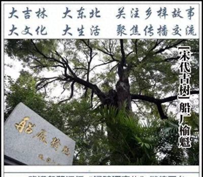闯关东鲁商在吉林