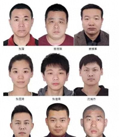 征集以张蒲、杨明珠为首的涉嫌黑社会性质组织犯罪行为的通告