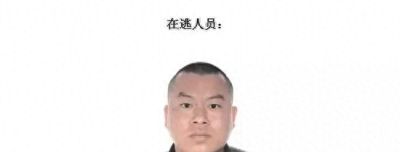征集以张蒲、杨明珠为首的涉嫌黑社会性质组织犯罪行为的通告